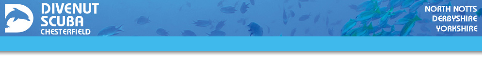 The PADI Seal Team is for young divers who are looking for action-packed fun in a pool by doing exciting scuba AquaMissions.