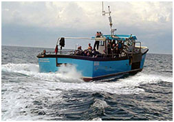 Divenut have a number of Diving Trips that take place regularly.