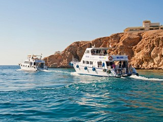 divenut go to Sharm El Sheikh 