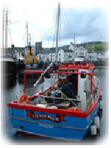 Loch Fyne