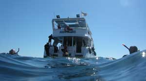 Out at sea